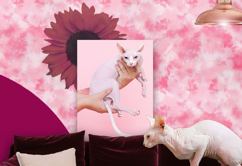 brand-cartel-home-images-a23