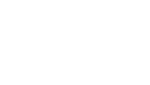 haval-logo